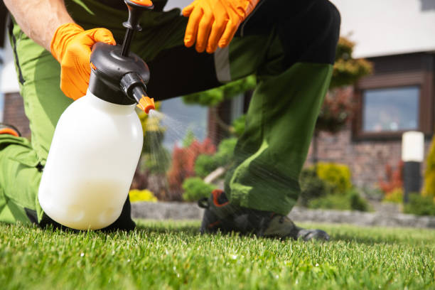 Best Residential Pest Control  in Alondra Park, CA