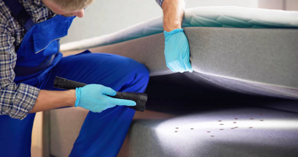 Best Commercial Pest Control Services  in Alondra Park, CA